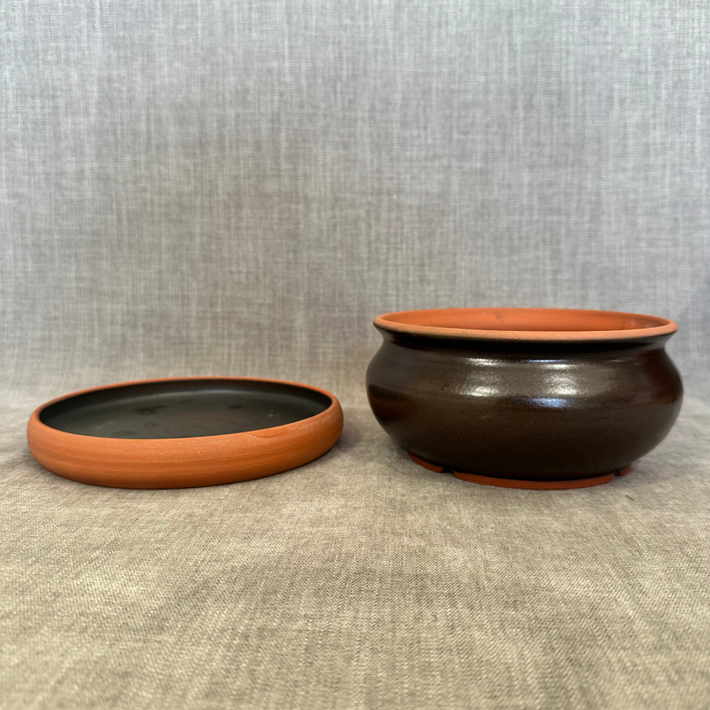 Shallow Pot