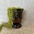 Two-Part Plant Pot