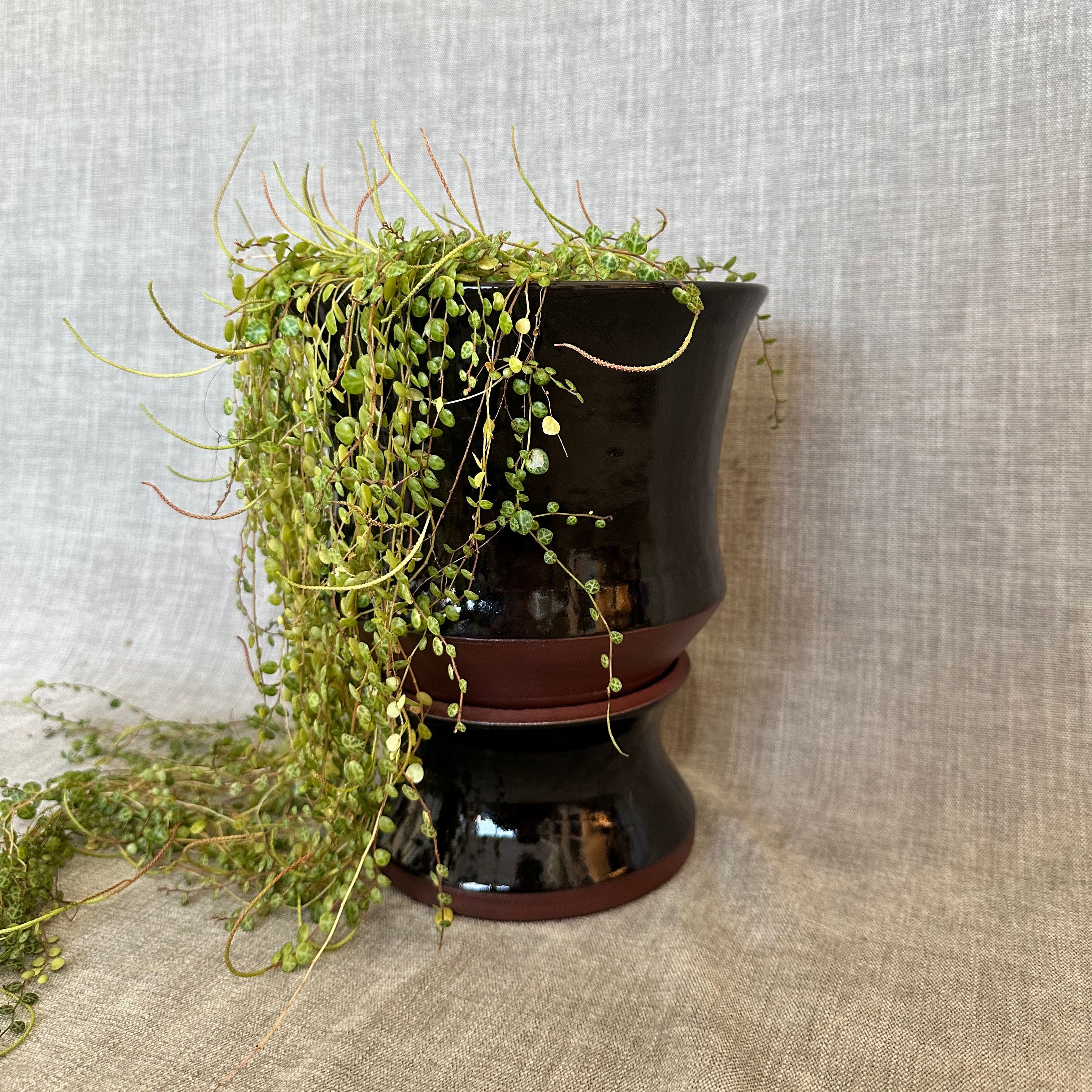 Two-Part Plant Pot